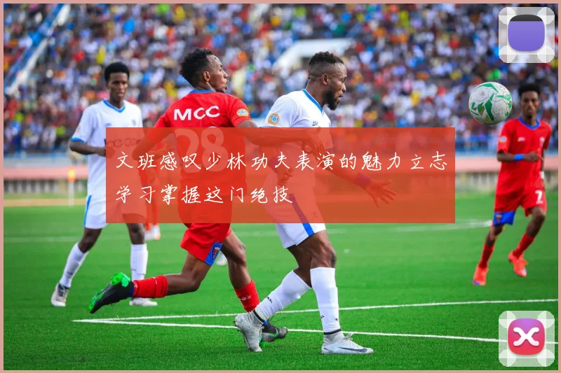文班感叹少林功夫表演的魅力立志学习掌握这门绝技