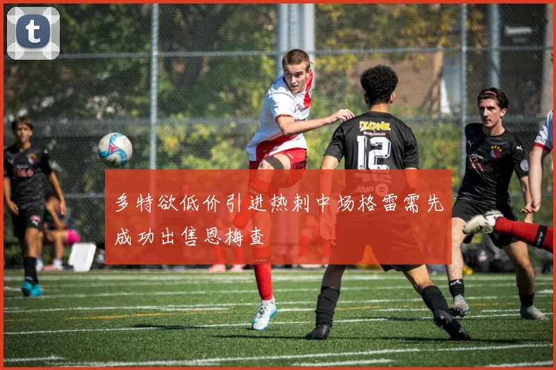 多特欲低价引进热刺中场格雷需先成功出售恩梅查